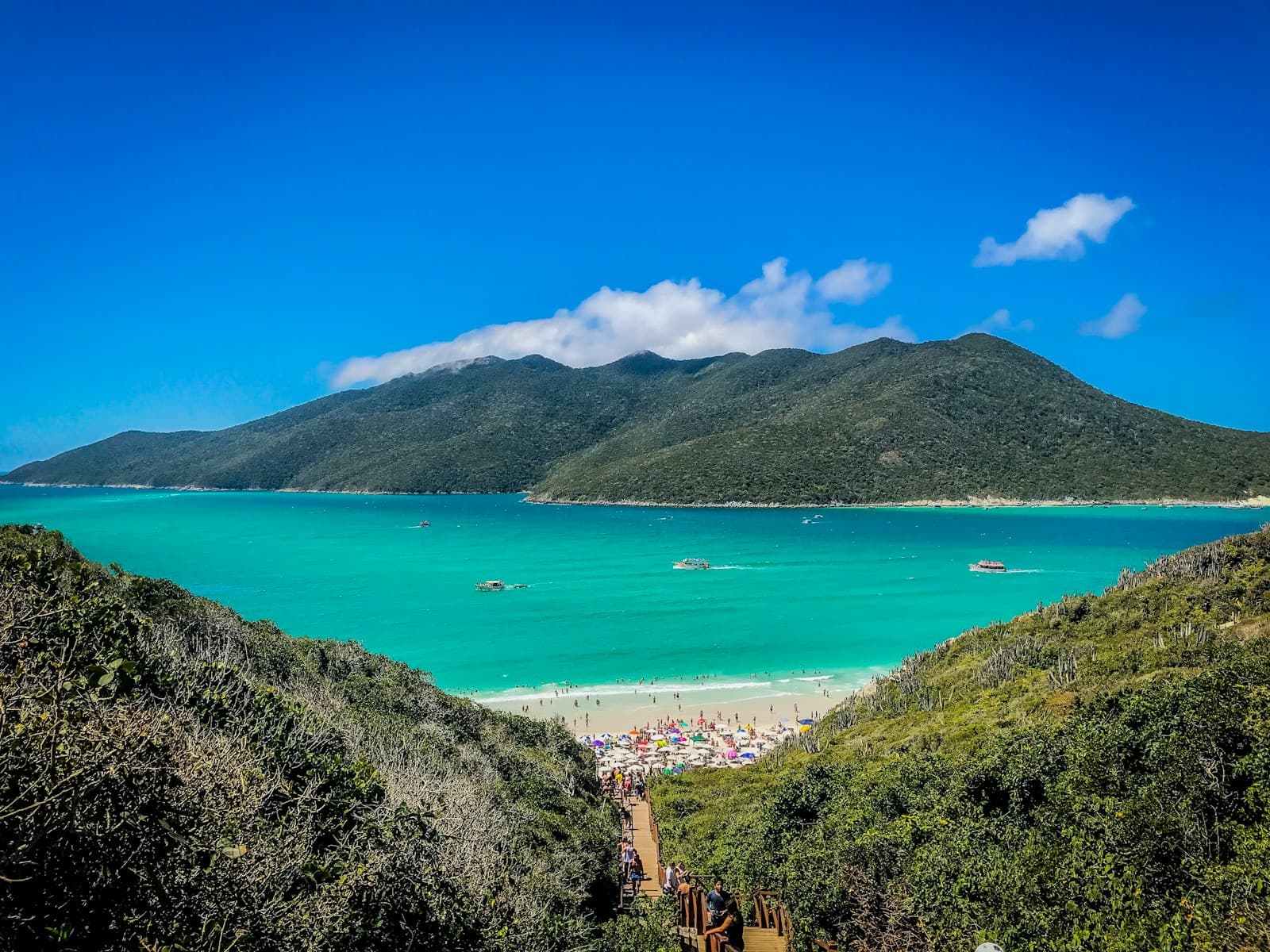 Turquoise bay and green hills seen from a viewpoint in Arraial do Cabo